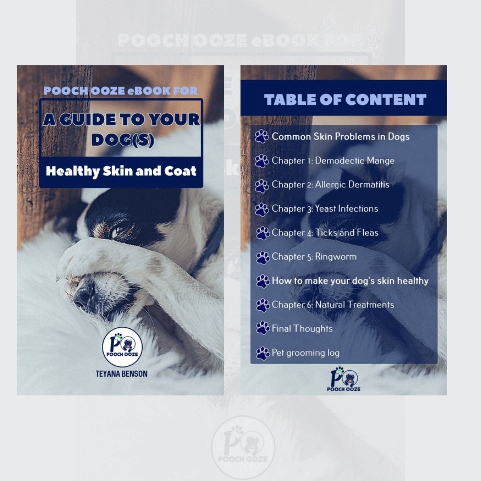 A Guide To Your Dog(s)🐕 Healthy Skin And Coat🔥 (PDF digital download only)